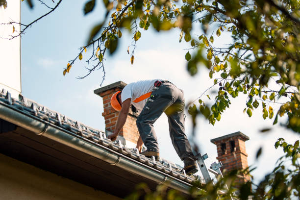 Best Flat Roof Repair Services  in Vardaman, MS