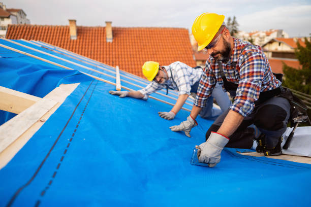 Best Roof Maintenance Services  in Vardaman, MS